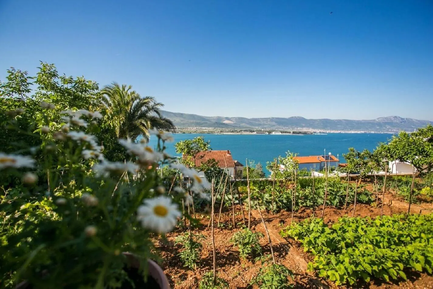Apartment Marija Trogir